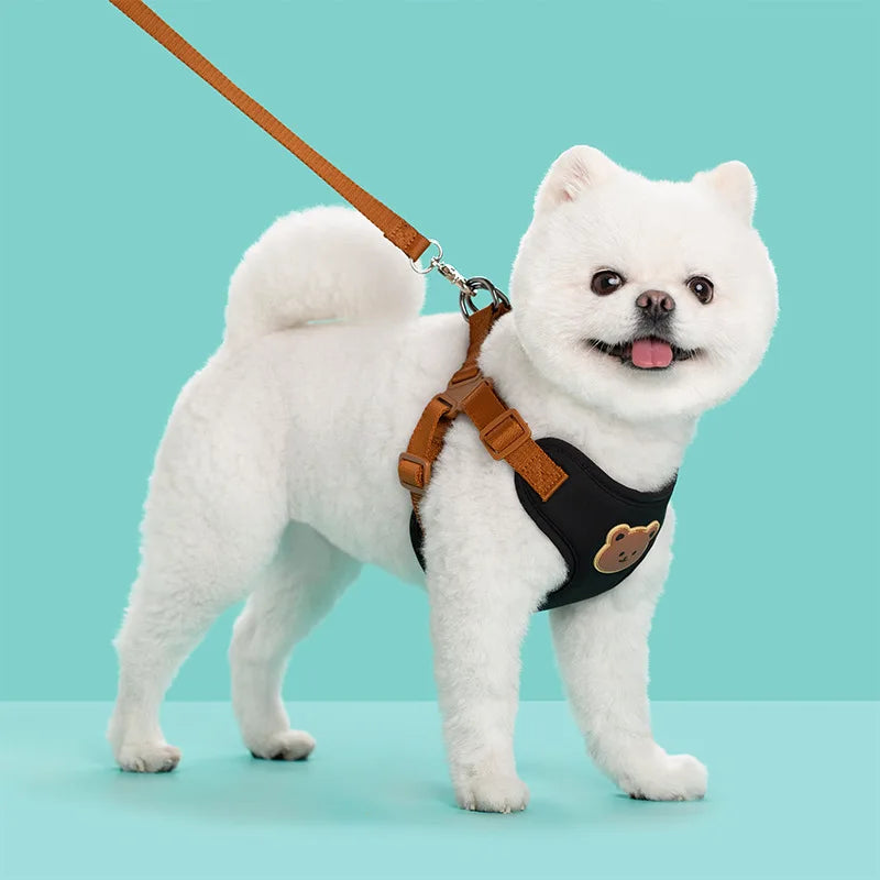 Pet Dog Harness Leash Set Small Medium Dog Cat Vest Breathable Puppy Chest Strap French Bulldog Chihuahua Harness Pet Supplies