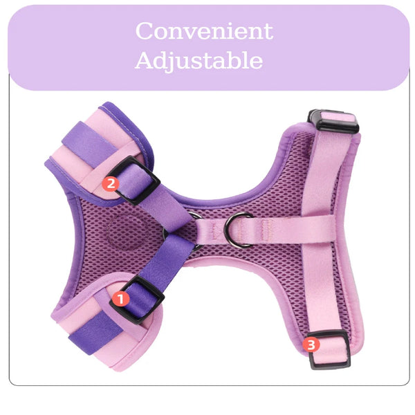 Pet Dog Harness and Leash Set Adjustable Mesh Dog Harness Vest Puppy Pet Walking Lead Leash Collar for Small Dogs Cats Kitten