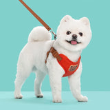 Pet Dog Harness Leash Set Small Medium Dog Cat Vest Breathable Puppy Chest Strap French Bulldog Chihuahua Harness Pet Supplies